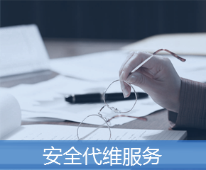 安全代維服務(wù)