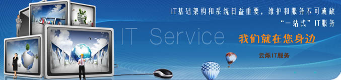 中國IT服務外包的基本特征 